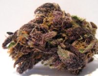 Purple Candy 